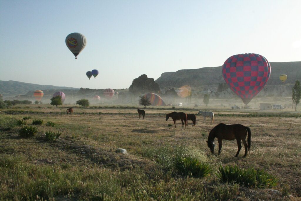 balloon 2596329 1920 1024x683 - Natur billeder af Kappadokien